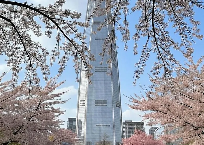 Aneuk,3br,8명,장기숙박,서울대학교,친절한 국가공인 관광통역 안내사의 호텔급 컨시어지 서비스,강남,홍대,명동,,성수,고척돔,kspo돔,지하철,도심접근성 Willa *
